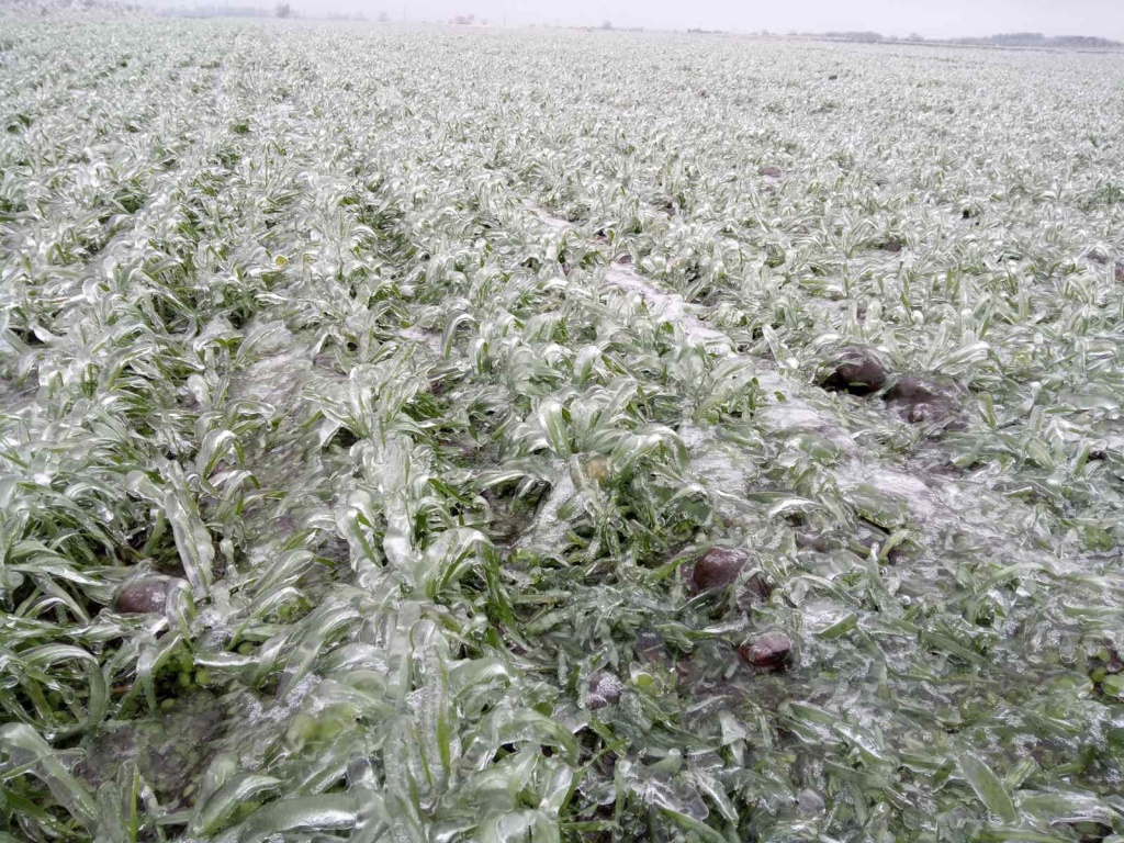 Фото 2.jpeg Фото 2.jpeg